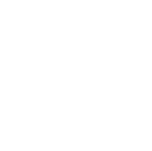 Optivis Consulting